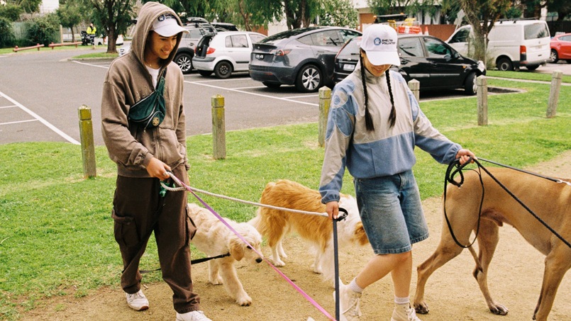Young people volunteering, walking dogs